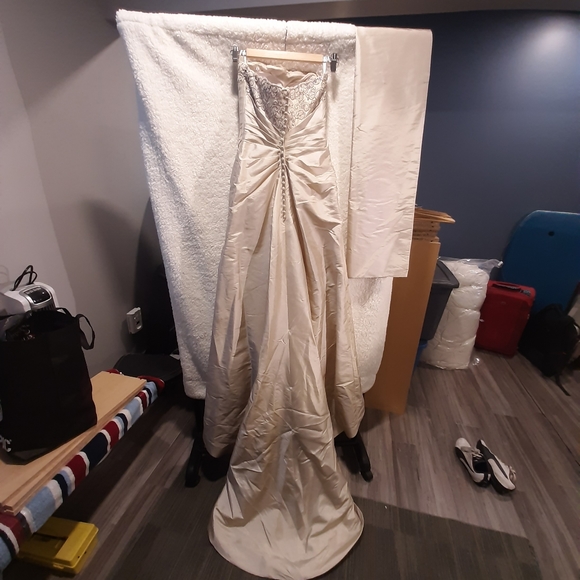 Wedding Dress - Picture 5 of 8